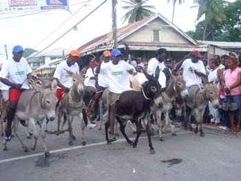 Donkey Races during Carnival